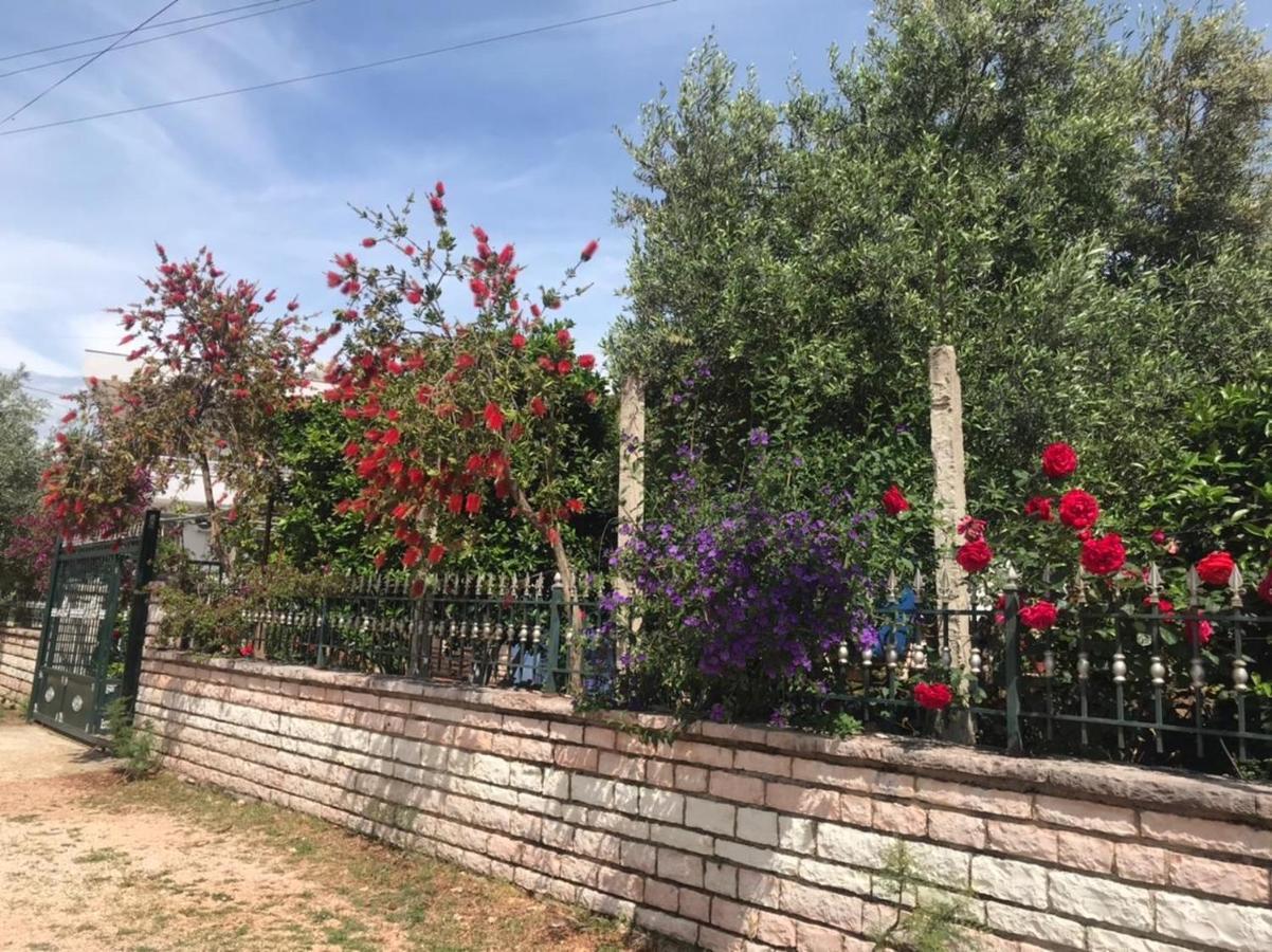 Vita Apartment - Spacious Garden And Balcony 5 Min To Beach & Center Ксамил Экстерьер фото