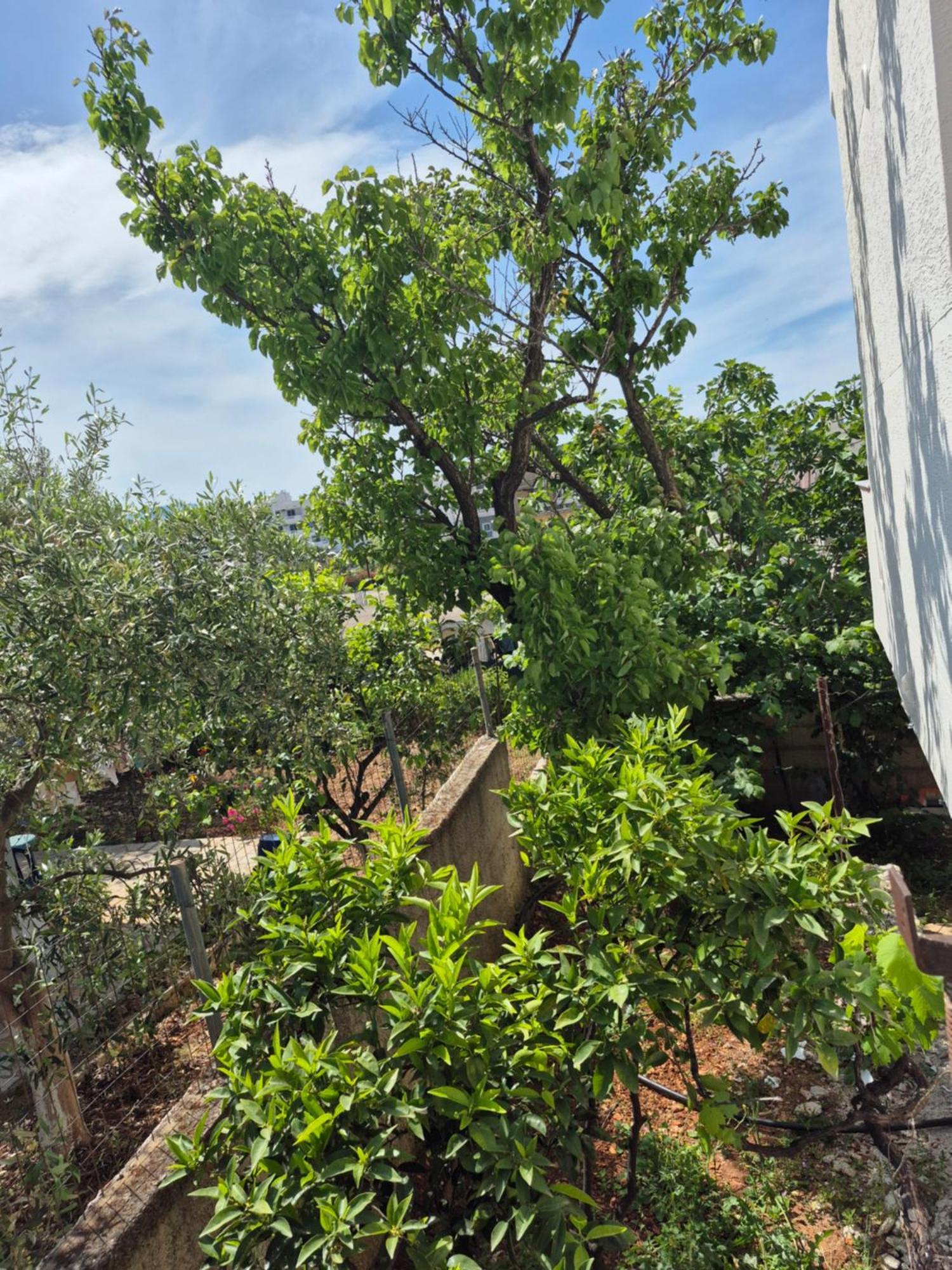 Vita Apartment - Spacious Garden And Balcony 5 Min To Beach & Center Ксамил Экстерьер фото