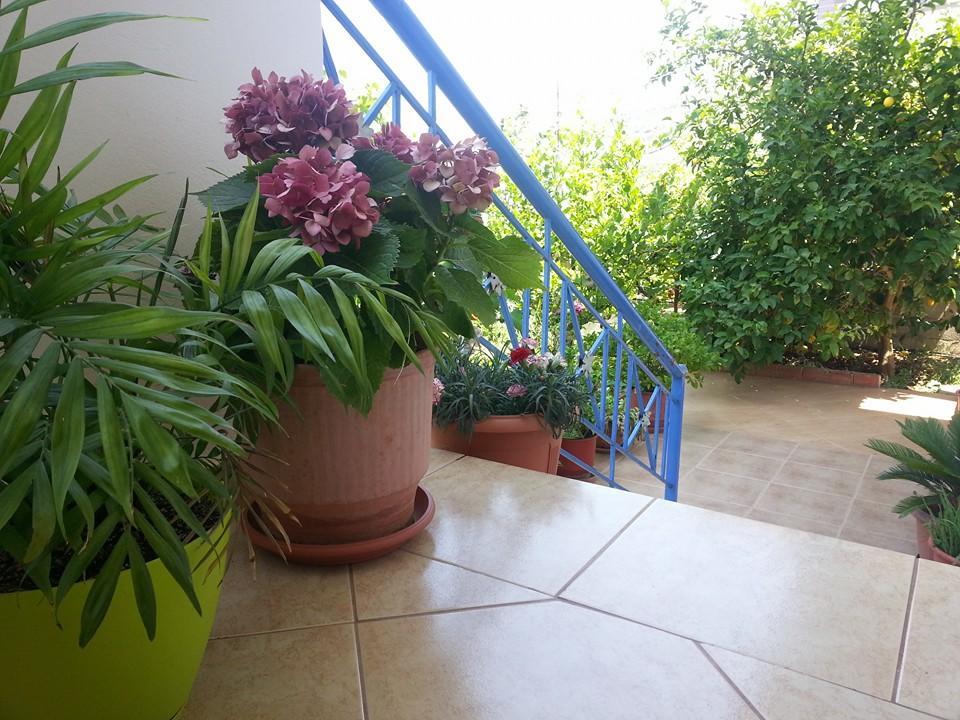 Vita Apartment - Spacious Garden And Balcony 5 Min To Beach & Center Ксамил Экстерьер фото